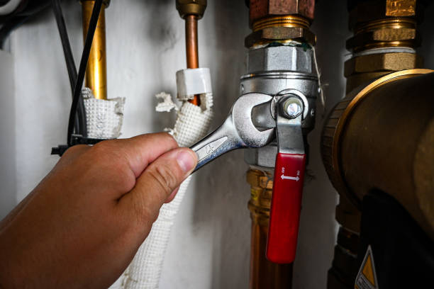 Best Clogged Drain Plumber  in Fairfield Beach, OH